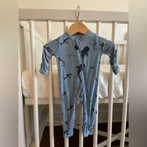 Kyte BABY Blue Stream Shark Print